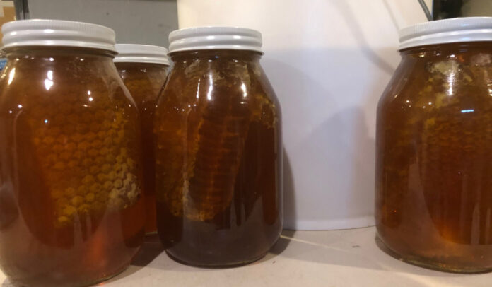 Chunk honey in quart jars