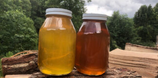 Honey from the spring and summer