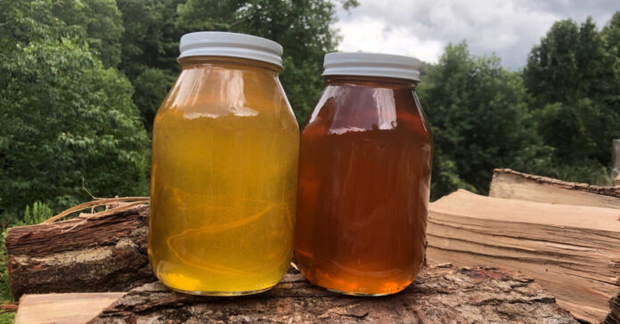 Honey from the spring and summer