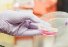 A lab tech examines a petri dish