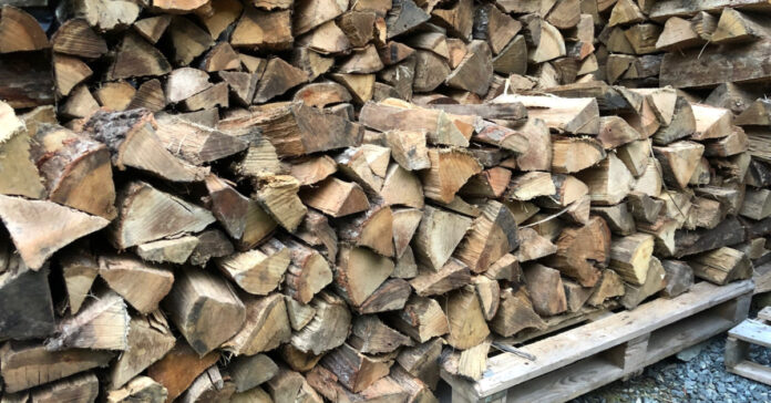 Rows of stacked firewood