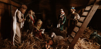 Manger scene