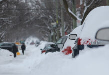 Snow covered cars
