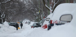 Snow covered cars