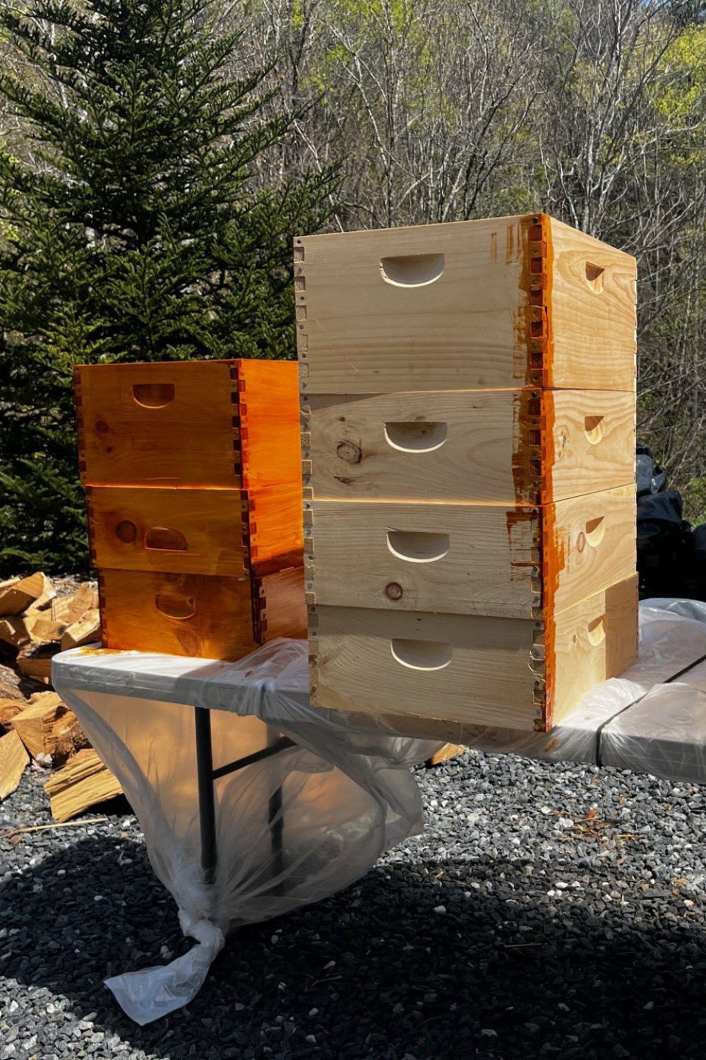 Weird Weather Brings Beekeeping Challenges