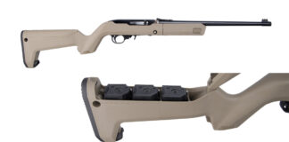 Ruger 10/22 Takedown model with a Magpul backpacker stock.