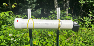 This homemade feeder is designed to allow bees to open feed on pollen substitute without letting it get rained on or blown away by heavy wind.