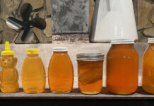honey jars filled after our recent harvest.