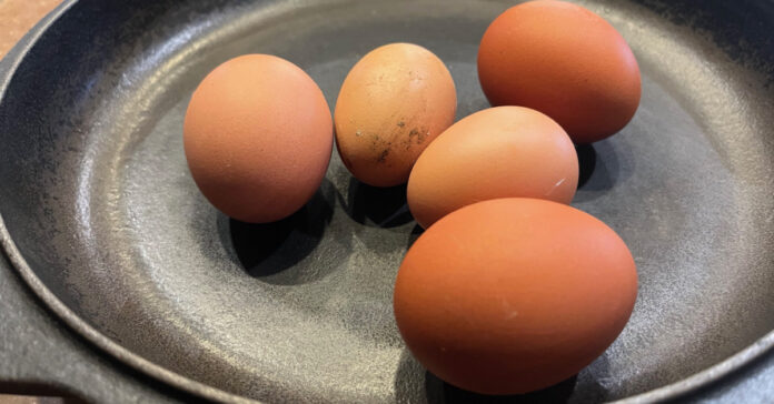 Large and medium eggs from our older hens, small eggs from the younger hens.
