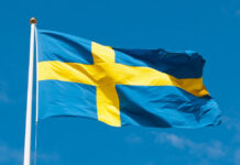 Sweden's Flag