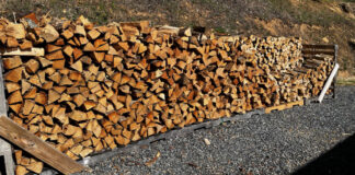 A double-row of firewood on five pallets. This represnets about 40 percent of the firewood we have on hand for the coming winter.