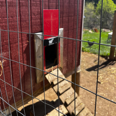 This automated chicken coop door locks down after dark to help keep the hens secure.
