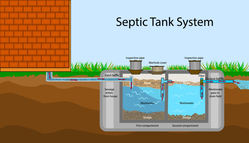 This diagram illustrates how a septic tank separates liquids, sludge and floating solids, ideally allowing only the liquids to reach the leach field.  While in the tank, anaerobic bacteria digest and break down the solids, reducing their volume.