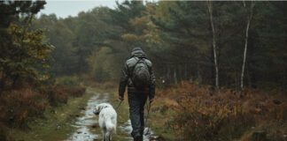 The dog needs to be walked even in the rain, but some chores must be delayed due to bad weather.