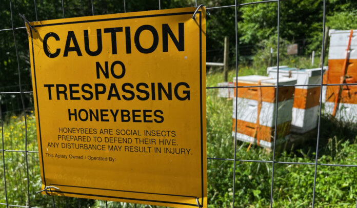A sign warning people not to trespass because bees sting.