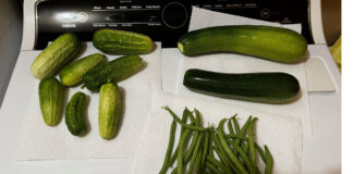 This was Tuesday's harvest as our garden hits its stride.