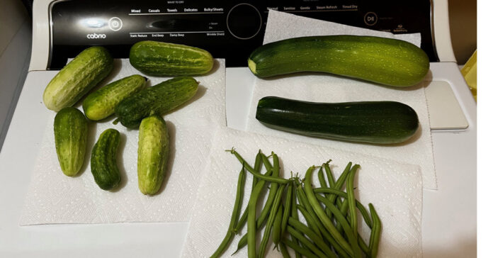 This was Tuesday's harvest as our garden hits its stride.