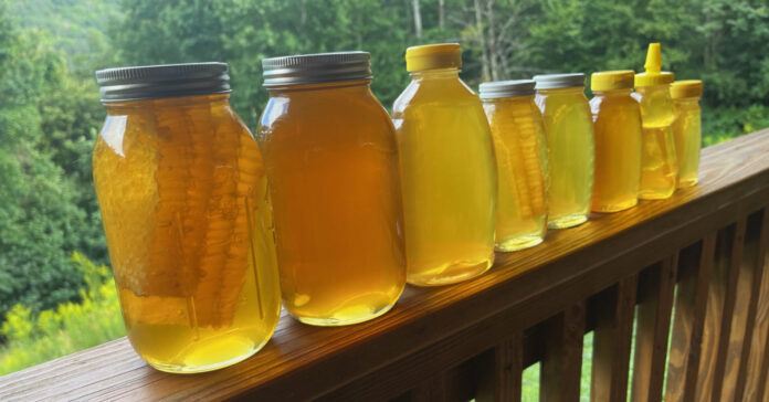 This is an example of the bottles of honey we filled from our late-summer harvest, from quarts all the way down to eight ounces. The honey is all the same color; it just looks darker in the larger bottles.