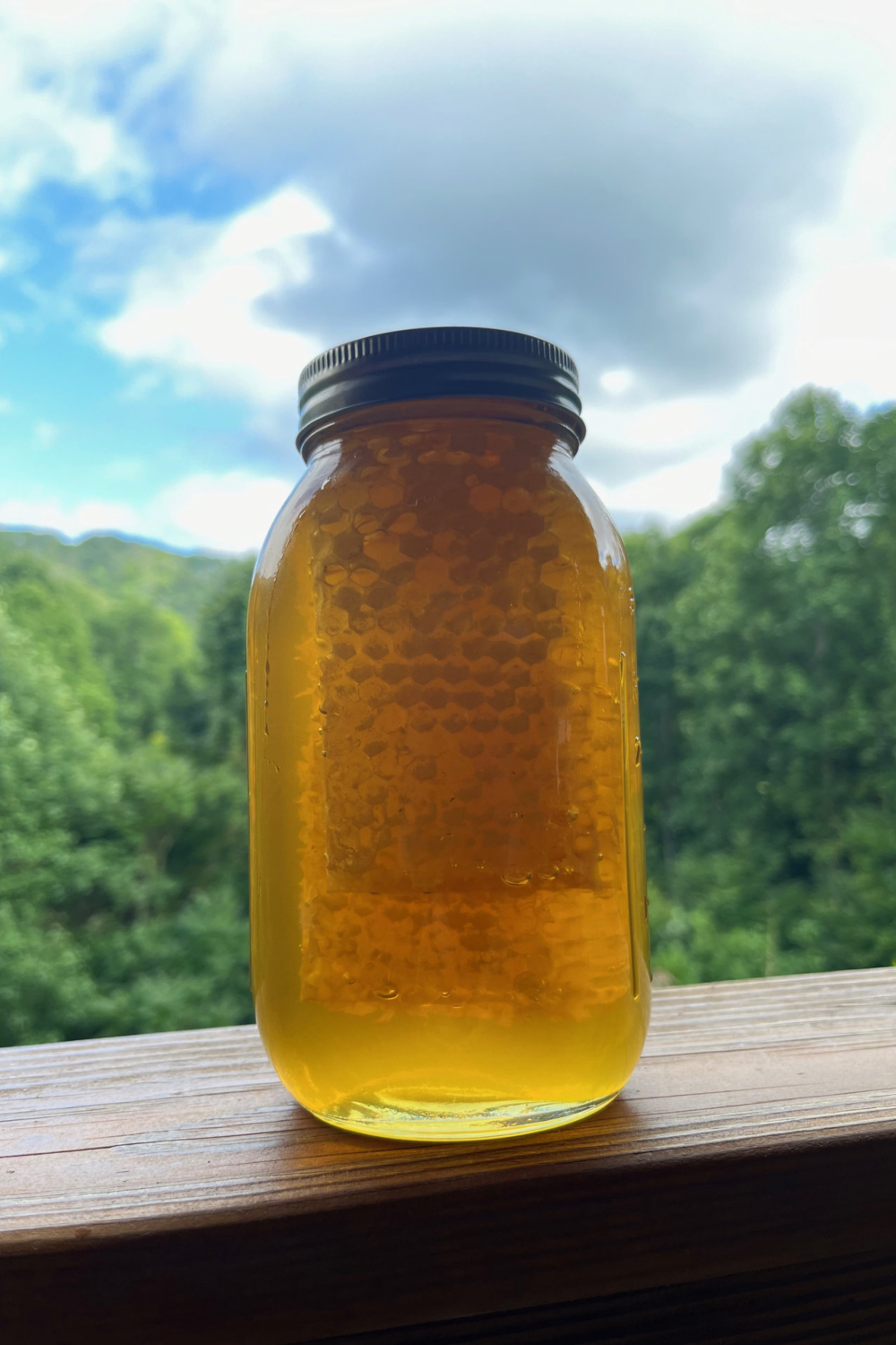 Big Honey Harvest Plus Homestead and Security Update