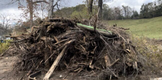 One of many debris piles left when the flood waters receded.