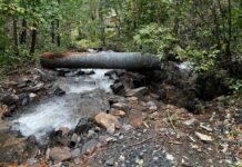 This was our road after the culvert was washed out. The road became the river.