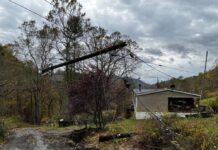 The power lines are a mess after Hurricane Helene. This pole snapped while the ones to the left are off-kilter.