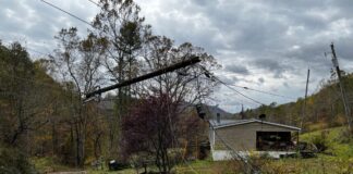 The power lines are a mess after Hurricane Helene. This pole snapped while the ones to the left are off-kilter.