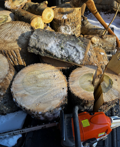 These are rounds I cut from the logs. They are in the back of my truck for transport to the log splitter. And yes, it's a snoy day, but that's OK because firewood warms you two or three times.