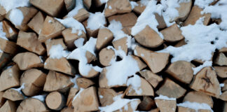 A stack of firewood in the snow.