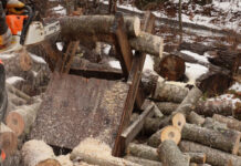 Cutting firewood is one of the outdoor activities I don't mind doing in the snow or cold.