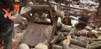 Cutting firewood is one of the outdoor activities I don't mind doing in the snow or cold.