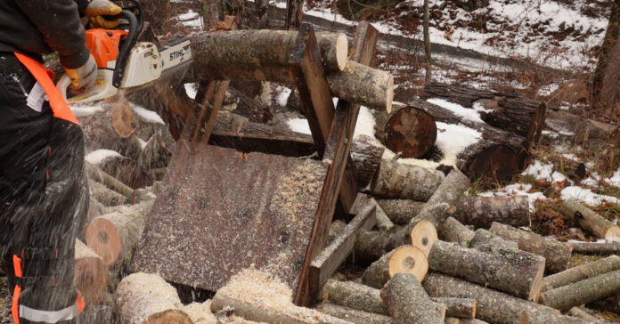 Cutting firewood is one of the outdoor activities I don't mind doing in the snow or cold.