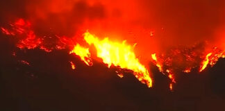 Flames rushing down a hillside in Los Angeles