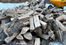 We had a load of red oak delivered are are stacking it on pallets to dry. This is intended to burn next winter, but if it continues to be this cold, we may need it this spring.