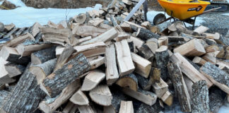 We had a load of red oak delivered are are stacking it on pallets to dry. This is intended to burn next winter, but if it continues to be this cold, we may need it this spring.