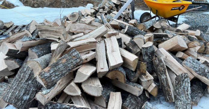 We had a load of red oak delivered are are stacking it on pallets to dry. This is intended to burn next winter, but if it continues to be this cold, we may need it this spring.