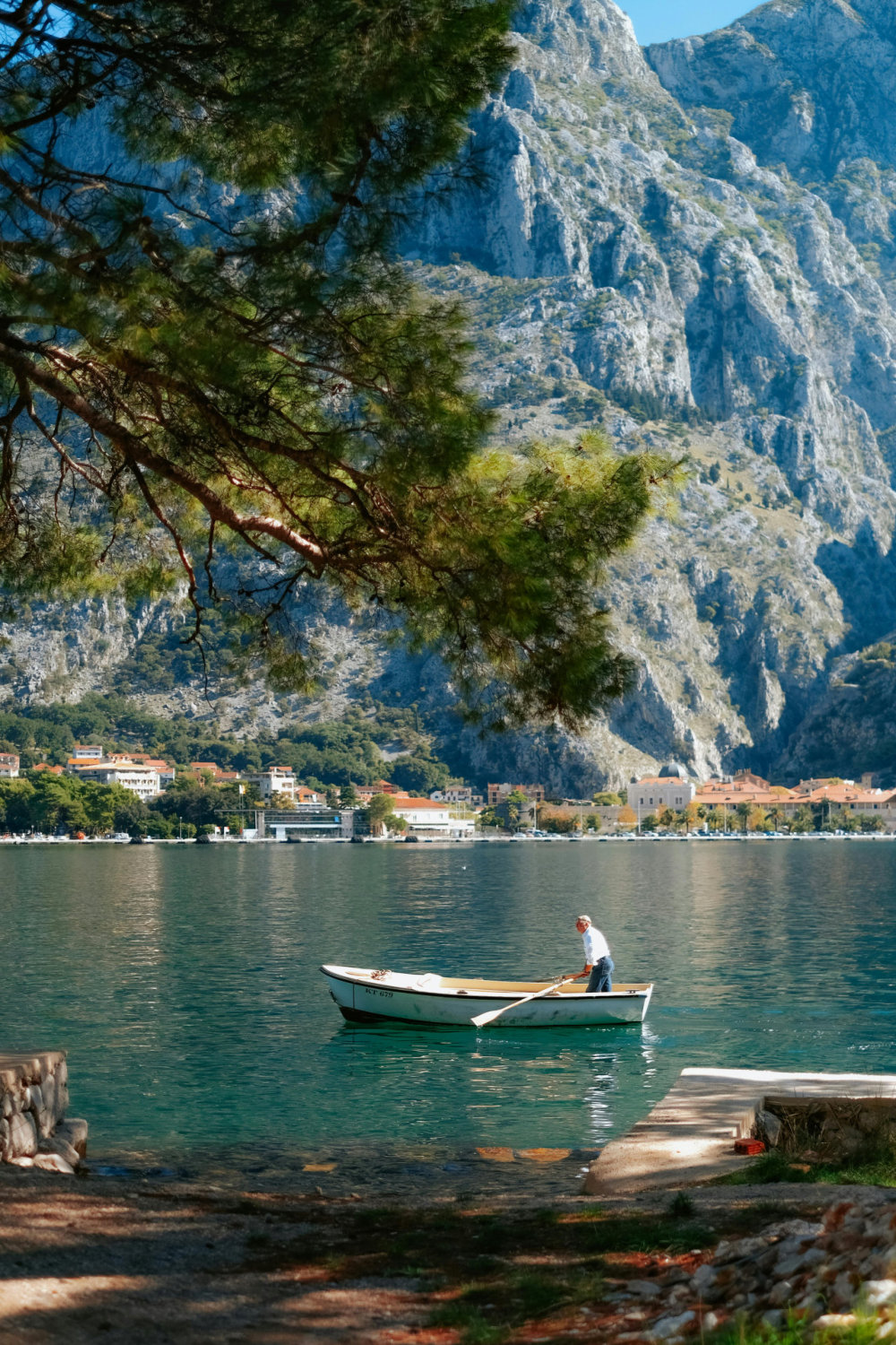 Rowing Your Way to Financial Freedom