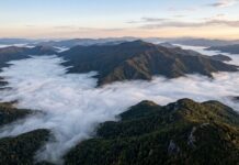 Our Drought is Suddenly Over—For Now Fog engulfs the mountains. When not in a drought, the Appalachians can be a temperate rain forest.