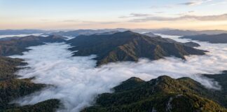 Our Drought is Suddenly Over—For Now Fog engulfs the mountains. When not in a drought, the Appalachians can be a temperate rain forest.