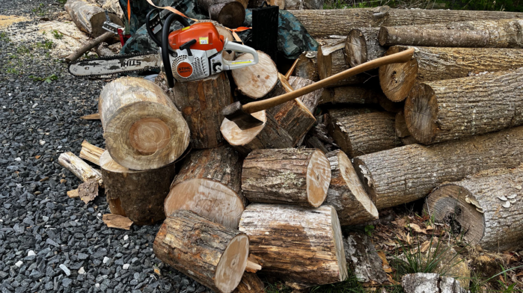 Firewood rounds ready for splitting.