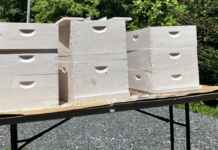 One of the many things on Pete's to do list was "Paint Bee Equipment." This is the first half of his painting project.