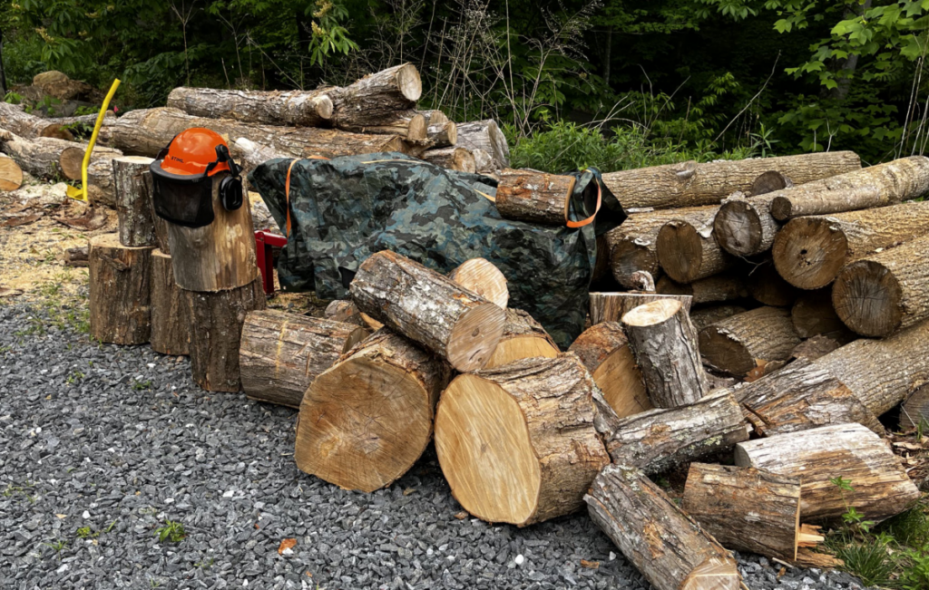 These rounds are from three of he logs in the picture at the top of this post. I estimate that will make 100 pieces of firewood.