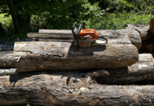 Pete's "New to him" chain saw, a Stihl MS-261, came with a larger-than-recommended bar and a good chain.