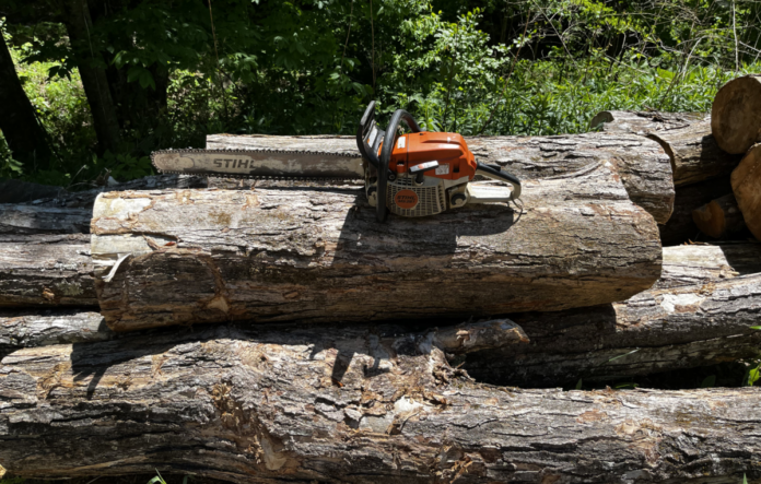 Pete's "New to him" chain saw, a Stihl MS-261, came with a larger-than-recommended bar and a good chain.
