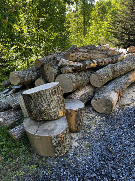 This is the same pile of logs seen from the other end.