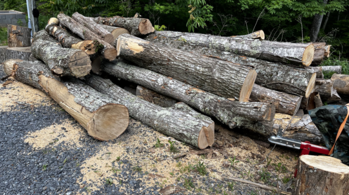 tree service logs There are now at least 40 logs from 7 inches to 20 or more in diameter waiting to be cut.
