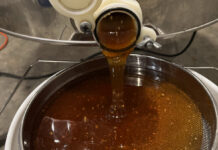 Honey pours out of the extractor, which uses centrifugal force to propel the honey out of the comb after we remove the wax capping.