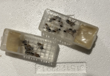 Dealing with the Heat Dome and Weak Queens Young, recently mated queens in a queen cages with their attendents. These cages go into the hive and the bees chew their way out through shiny blob to join the hive.