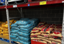 Sam's Club had hundreds of pounds of rice in stock last week, perfect for prepping.