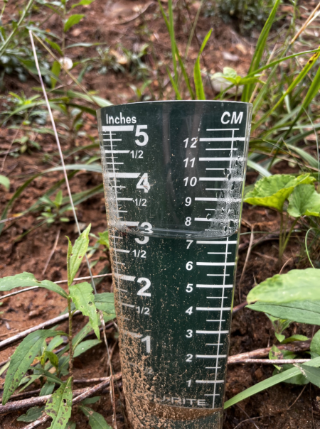 This will put a dent in the drought and help the green stuff grow.
